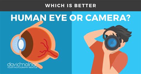 Which is Better: Human Eye or Camera? – David Molnar – Your Photography ...