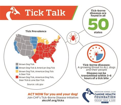 Tick-borne Diseases Infographic