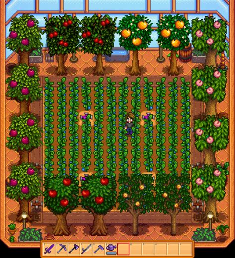 Best stardew valley greenhouse layout - portkool