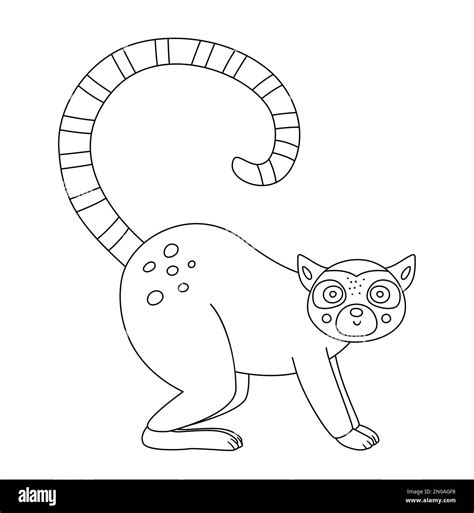 Vector cute lemur outline. Funny tropical exotic animal black and white ...