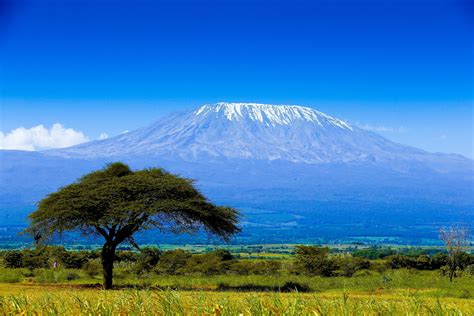 Climb Kilimanjaro - The Highest Point In Africa (English) | Mountain Planet