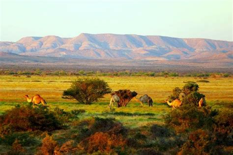 Somali Landscapes, Scenery, and National Parks | Picture Gallery - Page ...