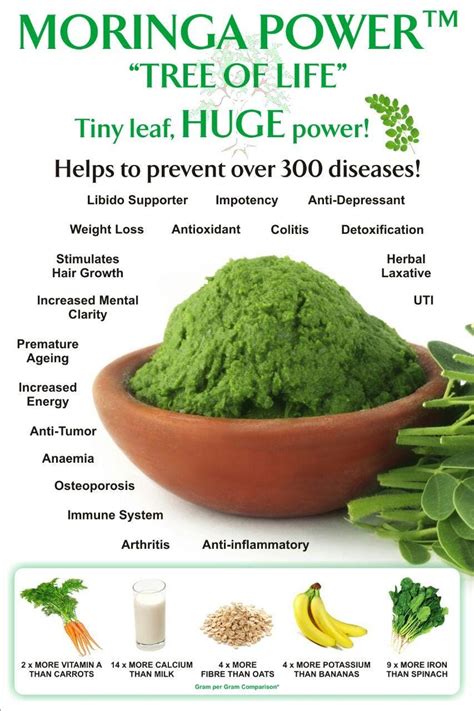 The health Benefits of Moringa. Moringa is rich in vitamins, minerals ...