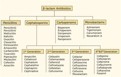 Beta-lactam antibiotics: Penicillin, Cephalosporin, Monobactam