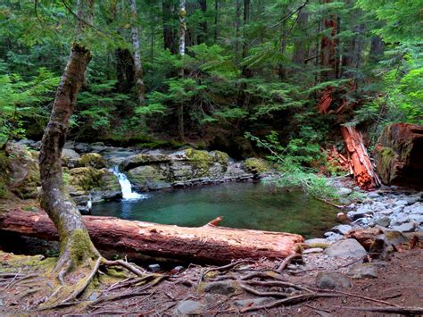 Pool In Gifford Pinchot National Forest Beautiful Landscapes, Gifford ...