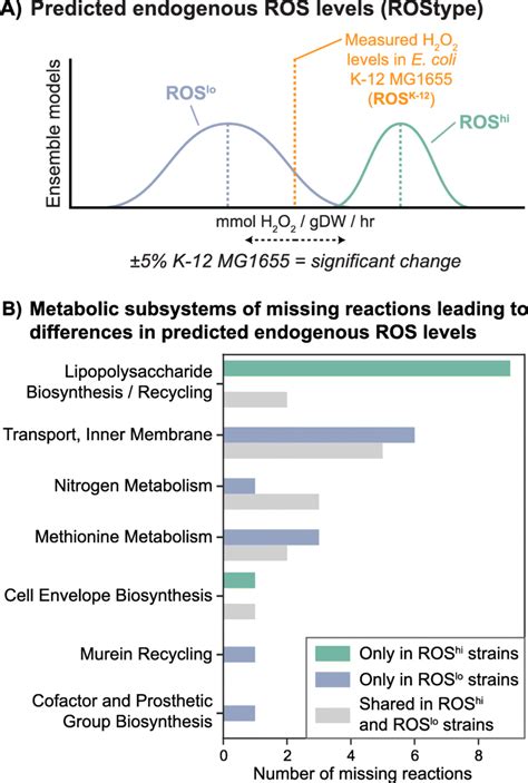 Classifying strains by predicted endogenous ROS levels and missing ...