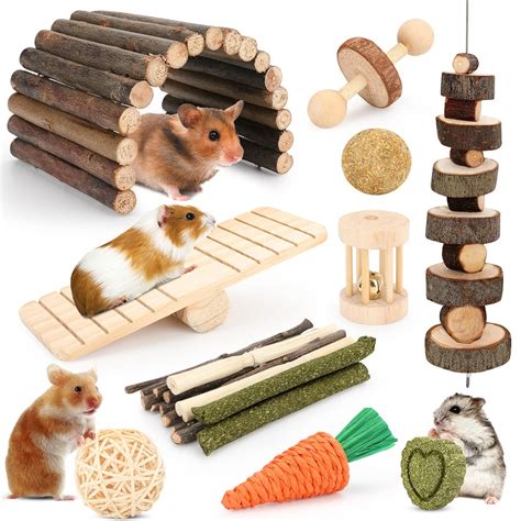 CHBORLESS Hamster Toys For Chewing: Natural Wooden Small Animal Chew ...