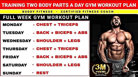 Two Body Parts A Day Workout Plan | Gym Workout | Two Body Parts ...