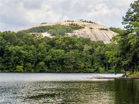 Animals in Atlanta at Stone Mountain Park - Nature Guide