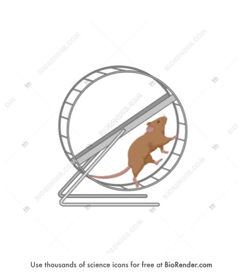 Free Rodent running wheel with mouse Icons, Symbols & Images | BioRender