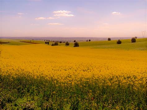 Baixo #Alentejo#Portugal em abril 2016. by #casanaaldeia.com | Country ...