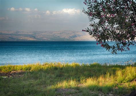 HD wallpaper: sea, sea of galilee, tabgha, lake, water, tiberias ...