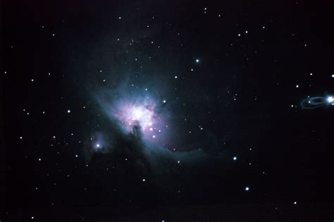 Orion Nebula First Attempt with Celestron 4se : astrophotography