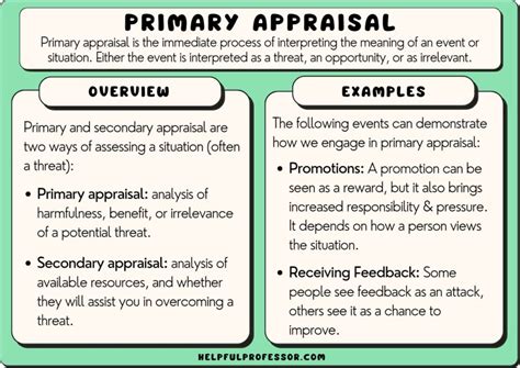 Primary Appraisal: Examples and Definition (2024)