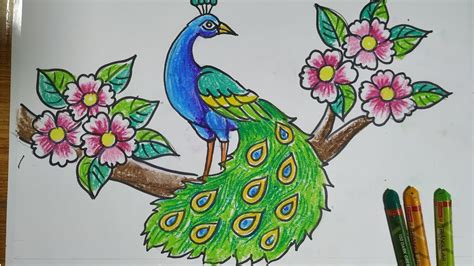 how to draw a peacock step by step,easy peacock drawing for kids,how to ...