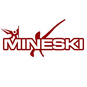 Team Mineski-X (Mineski Malaysia) Dota 2, roster, matches, statistics