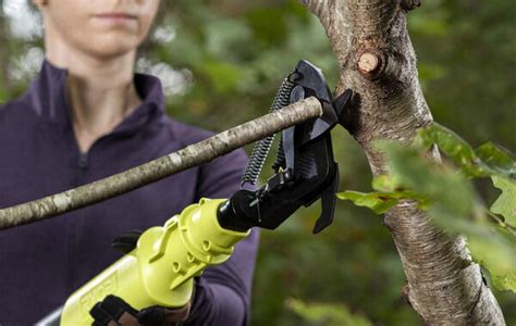 New Ryobi Cordless Lopper for Pruning Branches – ToolKit