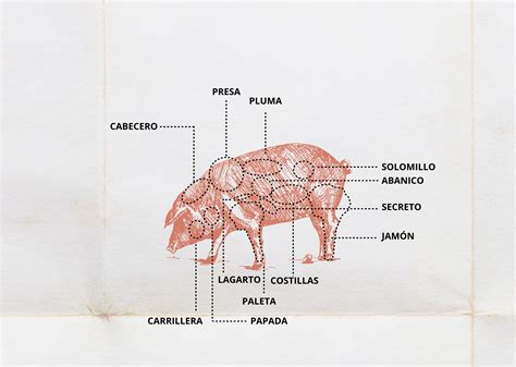 Comercialización abrazo bosque presa pluma martes Entretener mirar ...