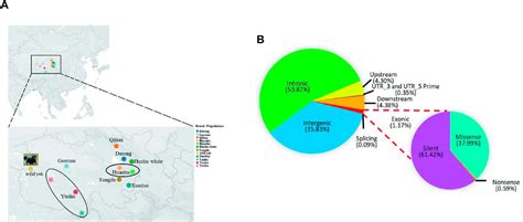 Frontiers | Whole-genome resequencing reveals genetic diversity ...