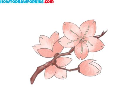 How to Draw a Cherry Blossom - Easy Drawing Tutorial For Kids