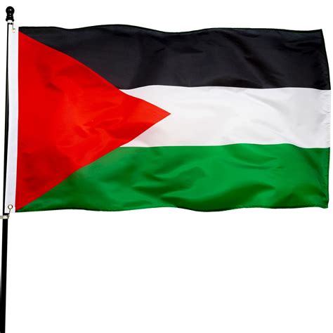 Buy palestine Online in UAE at Low Prices at desertcart