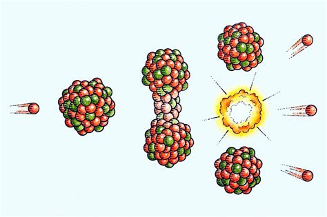 Fission Definition Examples Diagrams - Riset