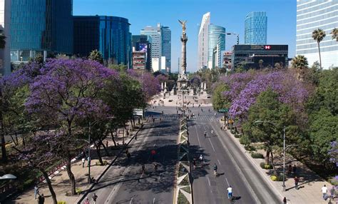 Realizan conferencia sobre la historia de Paseo de la Reforma - Centro ...