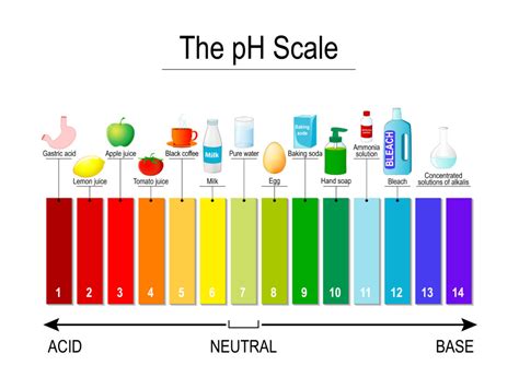 How to make pH indicator with a poinsettia