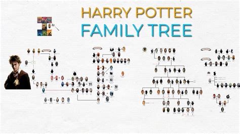 Harry Potter: Family Tree [Wizard World] - YouTube