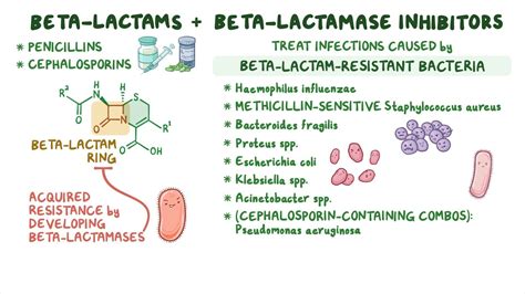 Antibiotics - Beta lactam and beta lactamase inhibitor combinations ...