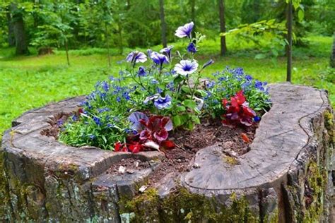 14 Tree Stumps Turned Into Gorgeous Planters - Part 2