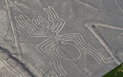 The Curious Case About The Nazca Lines in Peru | by Danielle Shake | Medium