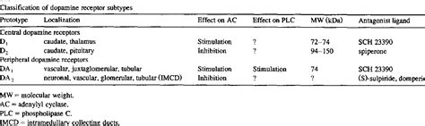 Dopamine Receptors