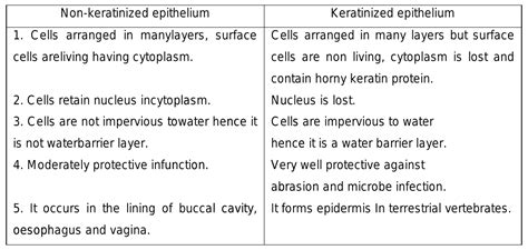 how to identify where keratinized epithelium and where non keratinized ...