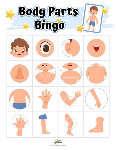 15 Body Parts Activities for Preschoolers (Free Printables)