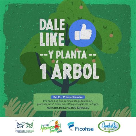 Ficohsa y Larach & Cia crean proyecto de reforestación en La Tigra