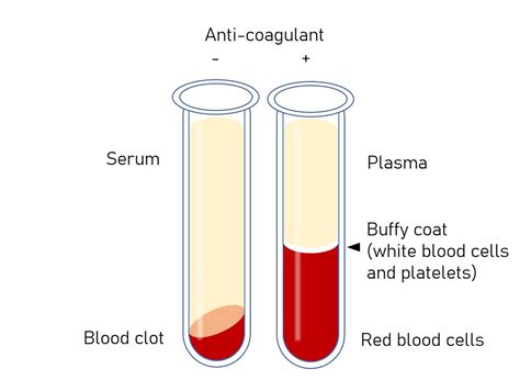 Niyet etmek tüketim En sonunda blood plasma and serum difference Eko ...