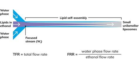 50_50_Image_Liposomes_Diagram | Dolomite Microfluidics