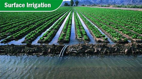 What is Irrigation System? Different Types and Methods of Irrigation