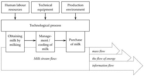 Cow Milk Production Process