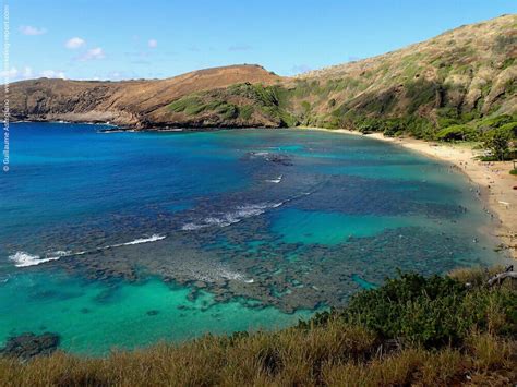 Snorkeling in Hanauma Bay, Oahu | Snorkeling in Hawaii