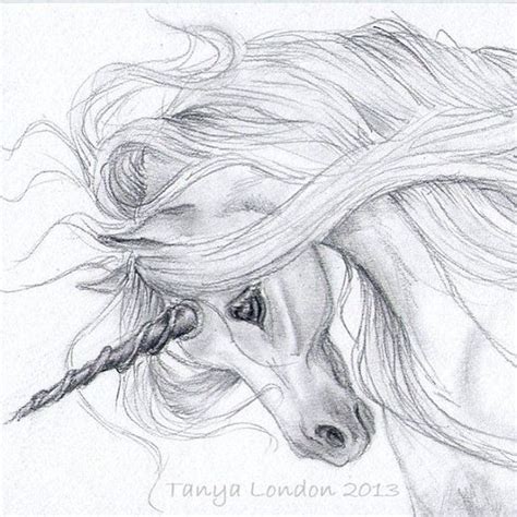 Realistic Unicorn Drawings | Unicorn Drawing In Pencil Gray unicorn ...