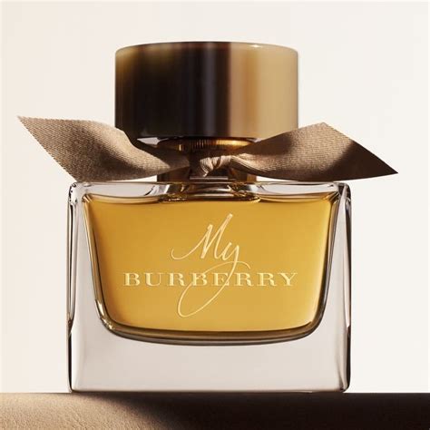 10 Best Burberry Perfume - Read This First