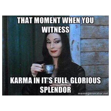 Karma... Oh yeah! | Karma memes, Funny quotes, Not my circus