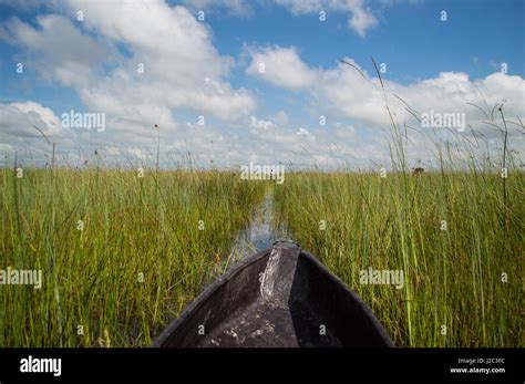 Mokoro Canoe Trip in the Okavango Delta near Maun, Botswana Stock Photo ...