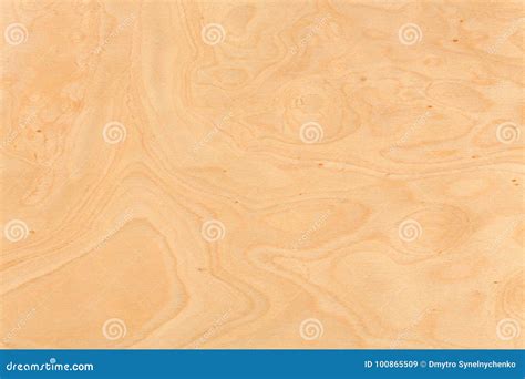 Background Brown Color Nature Pattern Detail of Ash. Stock Image ...