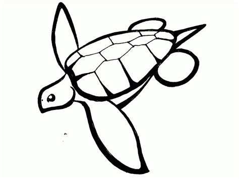 Free Sea Turtle Outline, Download Free Sea Turtle Outline png images ...