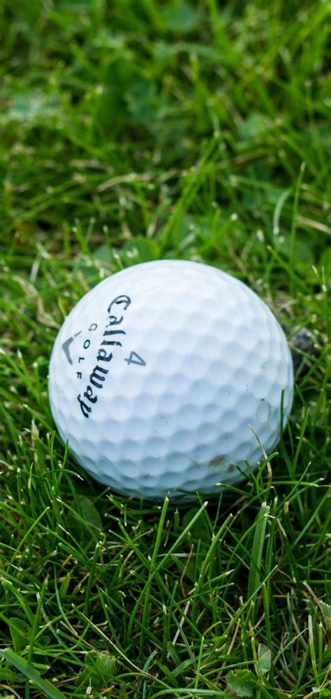 Golf Ball Grass Wallpaper - [1440x3040]