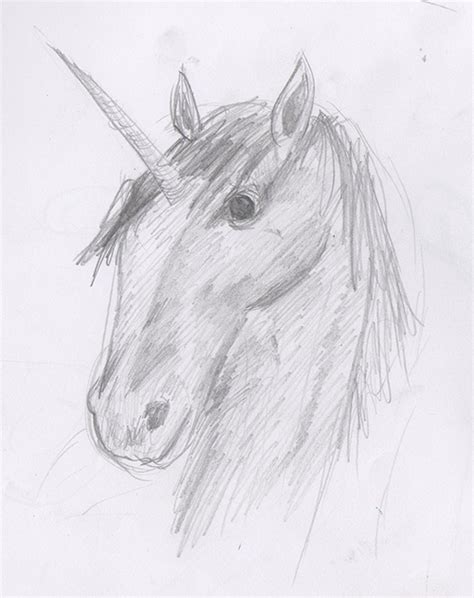 dibujos de unicornios realistas Gran venta OFF-64%