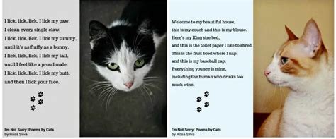 I’m Not Sorry: Poems by Cats